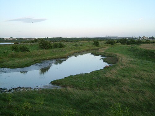 North Kent Marshes